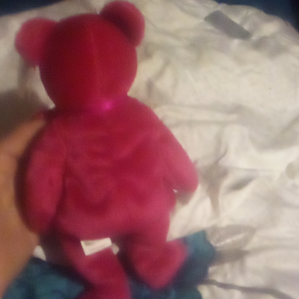 Ty bear - Picture 2 of 4
